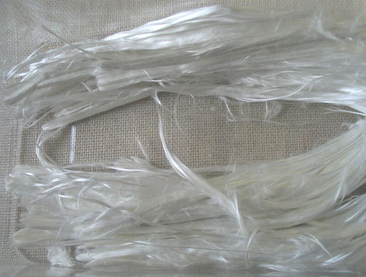 Fibras de asbesto. Foto: Wikipedia.