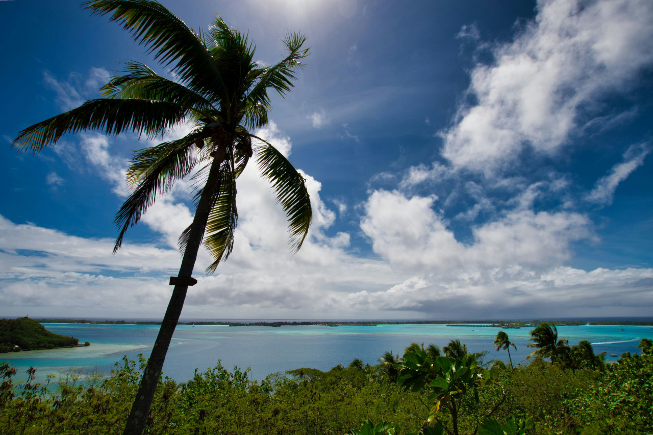 En la Polinesia Francesa se encuentra la playa más bella del mundo. Foto: Unsplash